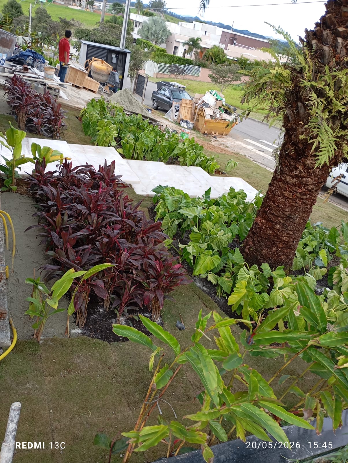 Jardim com plantas ornamentais e caminho externo
